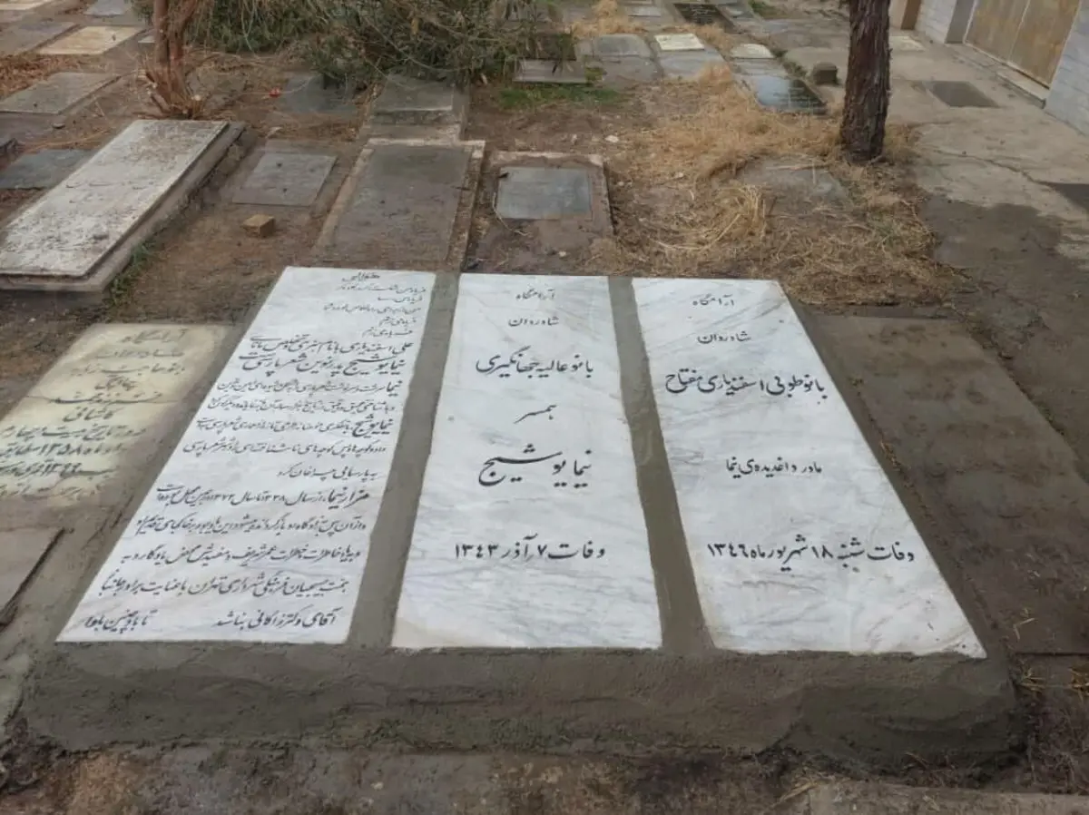  تقدیر از زاکانی بر روی سنگ قبر نیما یوشیج!+تصویر