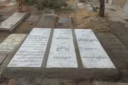  تقدیر از زاکانی بر روی سنگ قبر نیما یوشیج!+تصویر