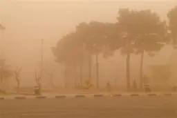 مشهد غرق در غبار شد! | سرخس اوضاع خوبی ندارد