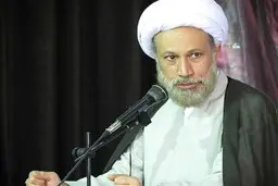 امام جمعه شیراز: از گردشگران بی‌فرهنگ گلایه دارم | مسئولان اگر نمی‌توانند مسجد نصیرالملک و مسجد وکیل را به سبک خودم مدیریت کنند، من خودم وارد میدان می‌شوم.