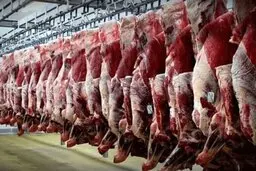 قیمت واقعی گوشت گوسفندی ۸۵ هزار تومان | گوشت گوساله ۷۰ هزار تومان