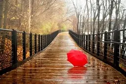 هواشناسی  |   سردشدن دمای هوای تهران 5 تا 8 درجه