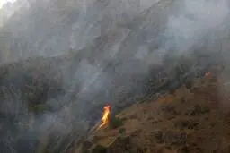 
بوشهری‌ها خواستار امکانات اطفاء حریق و بالگرد آب‌پاش