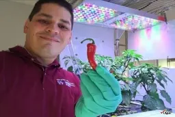 رشد فلفل‌های بسیار بزرگ در فضا 