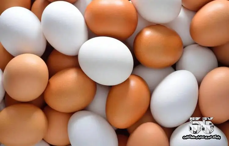 قیمت تخم مرغ در بازار روز امروز اعلام شد | قیمت تخم مرغ چقدره؟