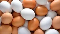 قیمت تخم مرغ در بازار روز اعلام شد | قیمت تخم مرغ بسته بندی چقدره؟