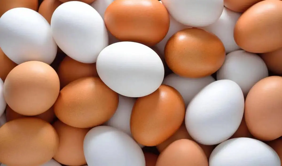 قیمت تخم مرغ در بازار روز اعلام شد | قیمت تخم مرغ بسته بندی چقدره؟