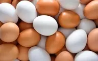 قیمت تخم مرغ در بازار روز اعلام شد | قیمت تخم مرغ بسته بندی چقدر است؟