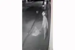 فیلم باورنکردنی از فرار سارق از دست پلیس 