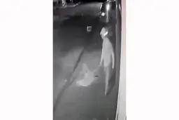 فیلم باورنکردنی از فرار سارق از دست پلیس 