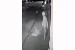 فیلم باورنکردنی از فرار سارق از دست پلیس 