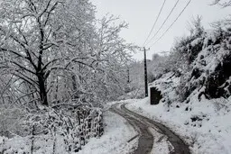 بارش برف و باران در ارتفاعات البرز ادامه دارد