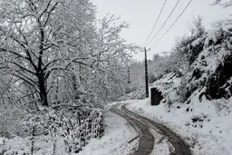 بارش برف و باران در ارتفاعات البرز ادامه دارد