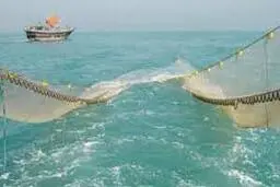  هشت فروند شناور غیر مجاز به ویژه صیدترال توقیف شد