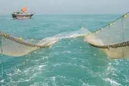  هشت فروند شناور غیر مجاز به ویژه صیدترال توقیف شد