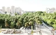 قطع درختان | قطع درختان در  باغ بهشت تهران