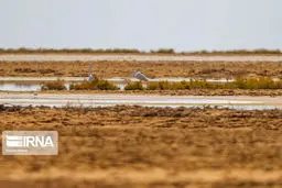آب از سد رودشتین به سمت تالاب بین‌المللی گاوخونی اصفهان رهاسازی شد