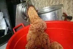 وجود پنبه در گوشت چرخکرده تکذیب شد