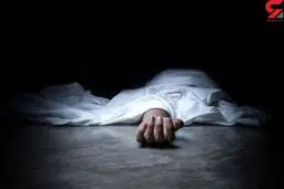 جسدش را لای دیوار گذاشتم و با گچ و سیمان پنهانش کردم!