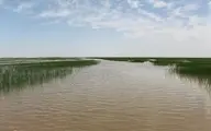 
سرنوشت بحرانی بزرگ ترین دریاچه آب شیرین فلات ایران 
