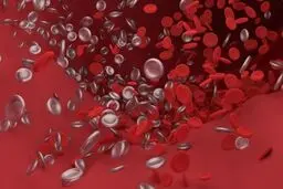 علائم خطرناک لخته‌ شدن خون | اگر این نشانه‌ها را دارید، جدی بگیرید