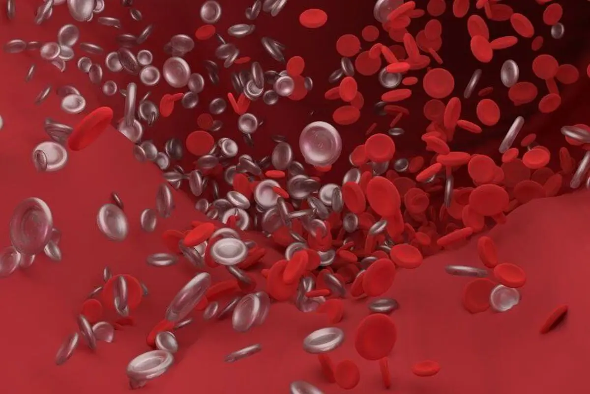 نتیجه یک مطالعه جدید: آنتی‌بادی‌های سرکش در مبتلایان به کرونا، لخته‌های خون ایجاد می‌کند