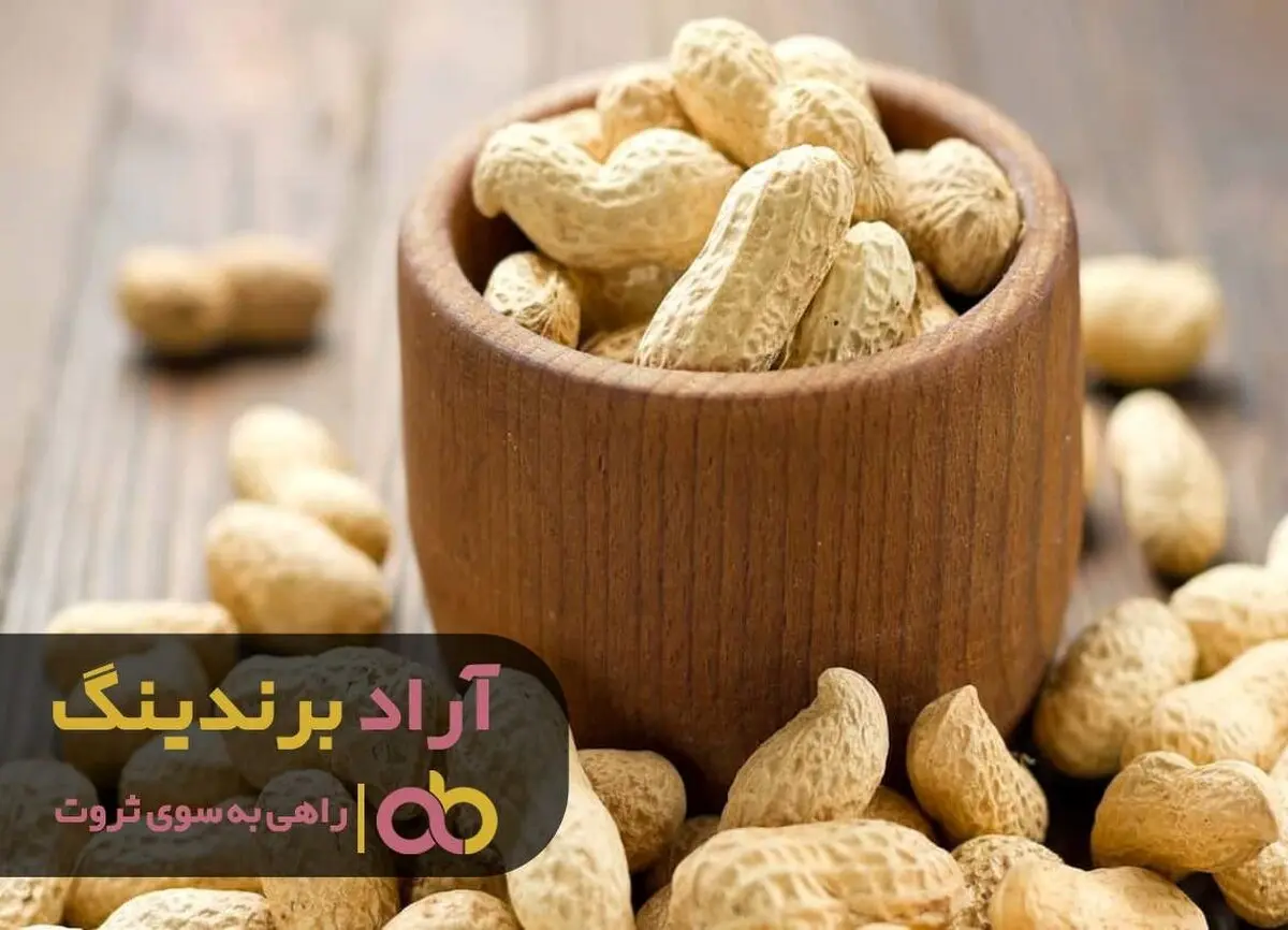 هدف های طلایی ام من را به ثروت رساند