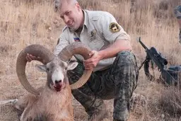 نرمش "فرمانده یگان" و گلایه "مدیرشکار وصید" نسبت به منتقدان شکارچیان خارجی
