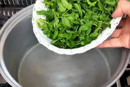 یکبار برای همیشه یاد بگیر چطوری عرق گیاه رو بگیری! | با این روش سه سوته و کم هزینه عرق گیاه رو بگیر + ویدئو