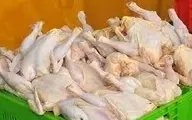 کشف 11 تن مرغ قاچاق در نمین اردبیل 