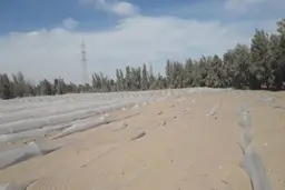 
طوفان شن  |   بلایی که کشاورزان رودبار جنوب کرمان را به خاک سیاه نشاند