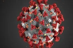 کروناویروس درنمونه اسپرم بیماران پیدا شد 