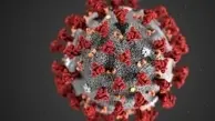 کروناویروس درنمونه اسپرم بیماران پیدا شد 