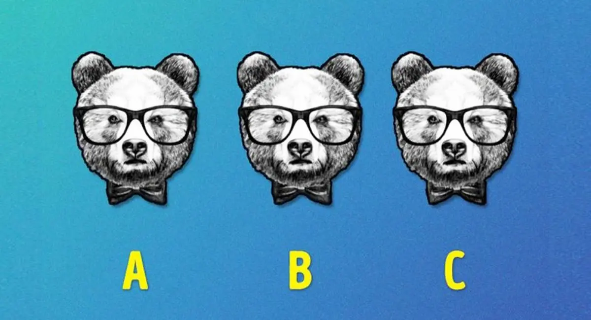 تست هوش؛ کدام خرس متفاوت است؟ + پاسخ