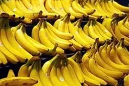 شرایط واردات موز اعلام شد 