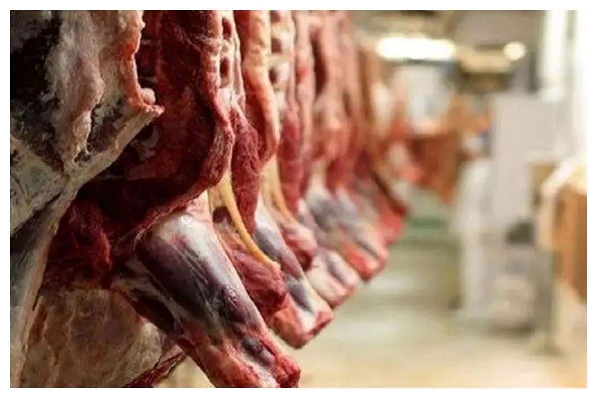 قیمت جدید گوشت گوساله و گوسفندی اعلام شد+ جدول
