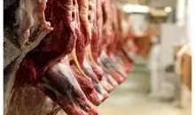 قیمت جدید گوشت گوساله و گوسفندی اعلام شد+ جدول
