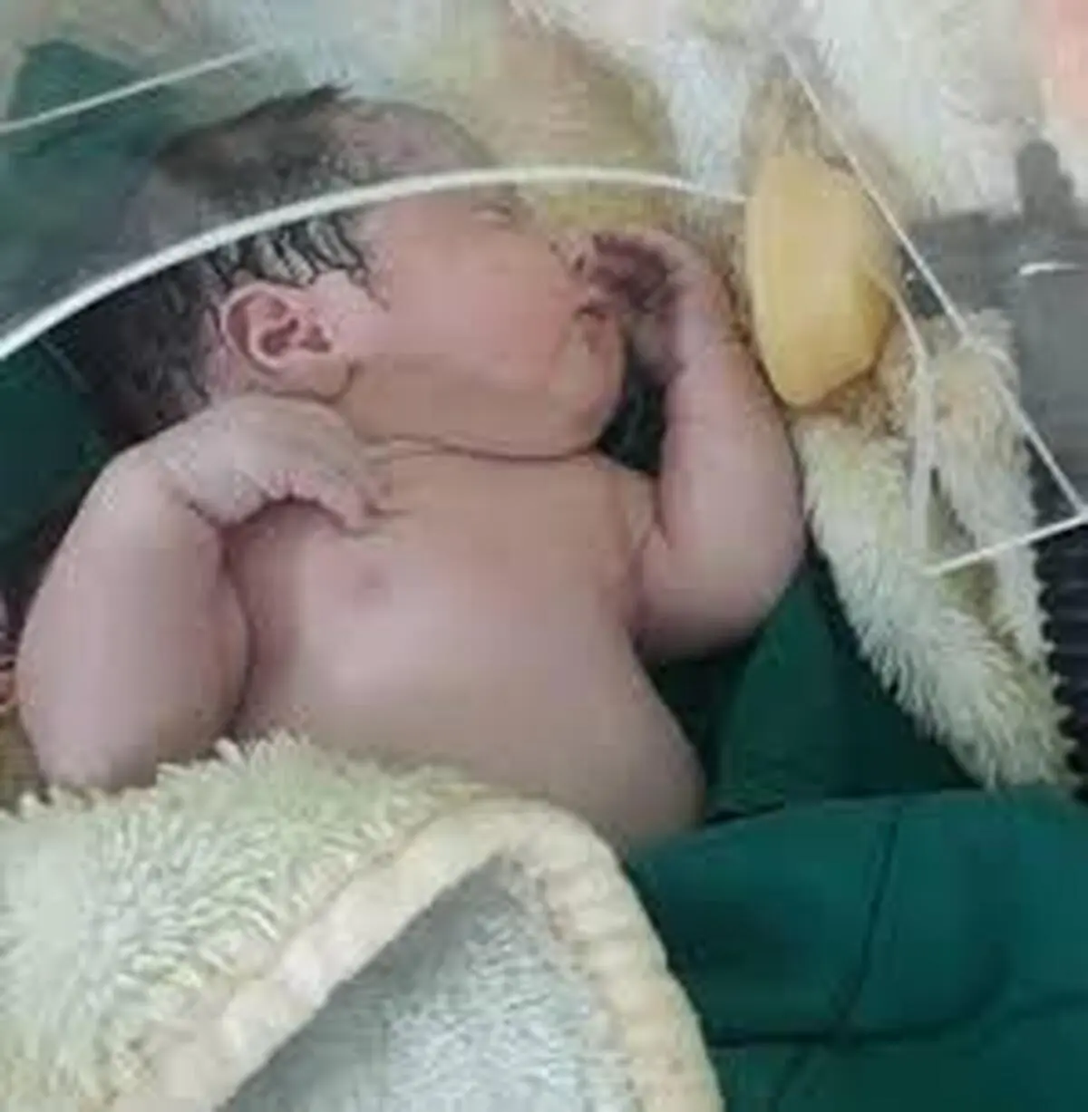 شناسایی نوزاد 3 روزه مبتلابه ویروس کرونا در خراسان رضوی 