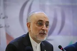صالحی: تلاش ما تولید ۲۰ تا ۳۰ هزار مگاوات برق هسته‌ای است