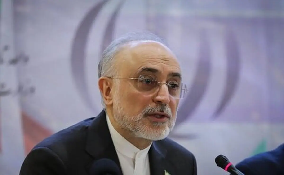 صالحی: تلاش ما تولید ۲۰ تا ۳۰ هزار مگاوات برق هسته‌ای است
