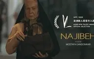 مهم‌ترین چالش سینمای مستقل به روایت کارگردان "نجیبه"