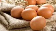 مصرف ۳ تا ۶ تخم مرغ در هفته ریسک بیماری قلبی عروقی را کاهش می دهد
