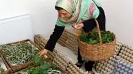 شرط دریافت وام ۴ میلیارد تومانی مشاغل خانگی