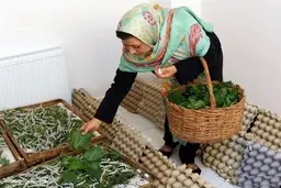 شرط دریافت وام ۴ میلیارد تومانی مشاغل خانگی