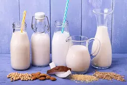 چگونه در خانه شیر گیاهی تهیه کنیم؟