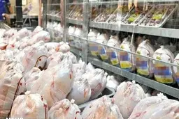 
قیمت مرغ با نرخ مصوب عرضه می‌شود
