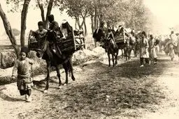 تهران قابل زندگی نیست؛ هر چه زودتر فرار کنید