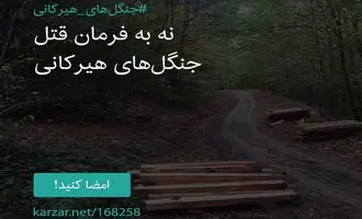 همبستگی مردم و فشار افکار عمومی نتیجه داد | شرکت چوب وکاغذ مازندران: منظور طلب مالی بود نه برداشت چوب جنگلی!