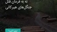 همبستگی مردم و فشار افکار عمومی نتیجه داد | شرکت چوب وکاغذ مازندران: منظور طلب مالی بود نه برداشت چوب جنگلی!