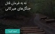 همبستگی مردم و فشار افکار عمومی نتیجه داد | شرکت چوب وکاغذ مازندران: منظور طلب مالی بود نه برداشت چوب جنگلی!